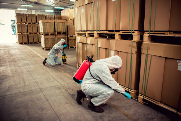 Best Pest Inspection Near Me  in Hampton, SC