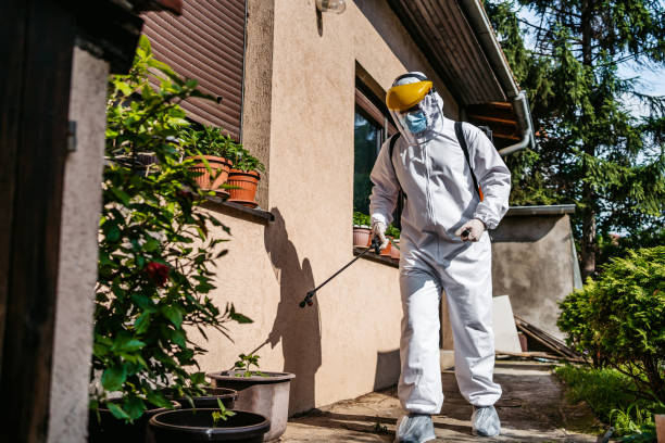 Best Pest Control Treatment  in Hampton, SC