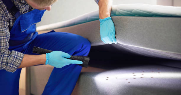 Best Rat Extermination Near Me  in Hampton, SC